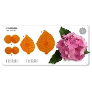 JEM HYDRANGEA