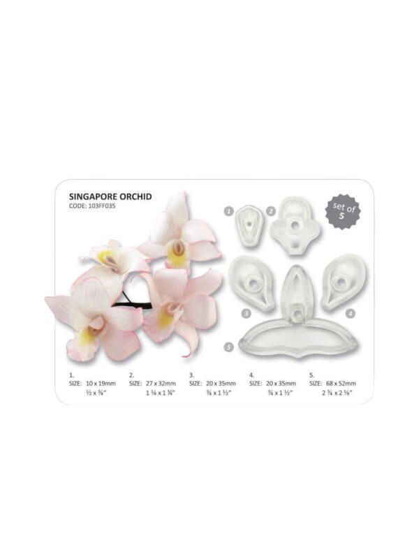 PME SINGAPORE ORCHID - SET OF 5