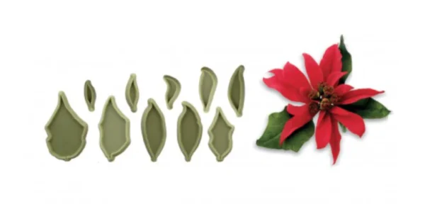 JEM POINSETTIA - Image 2