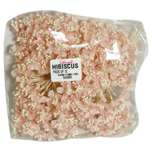 HIBISCUS PINK (PACK OF 12)