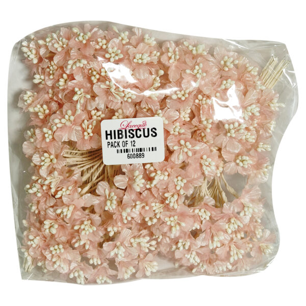 HIBISCUS PINK (PACK OF 12)