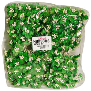 HIBISCUS DARK GREEN (PACK OF 12)