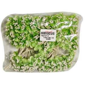 HIBISCUS LIGHT GREEN (PACK OF 12)