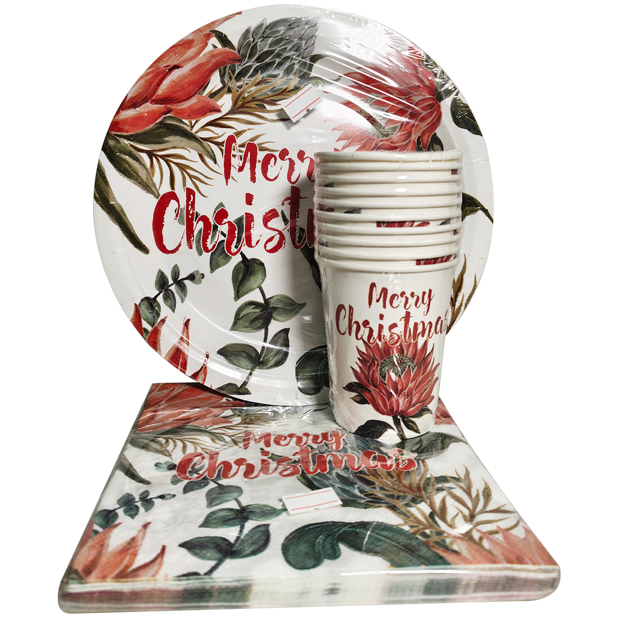 MERRY CHRISTMAS FLORA PAPERPLATE SET (40PC)