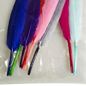MULTI COLOUR FEATHERS (10PC)