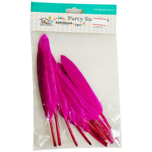 DARK PINK FEATHERS (12PC)
