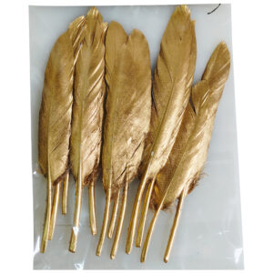 GOLD FEATHERS (12PC)