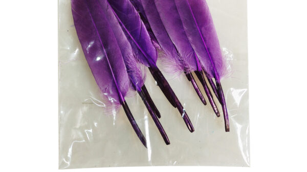 PURPLE FEATHERS (12PC)