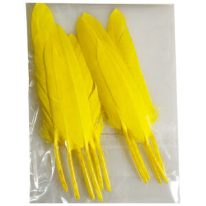 YELLOW FEATHERS (12PC)
